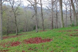 property photo for Serenity Creek Tract 18, 7.51 acres for sale in Laurel County, Kentucky