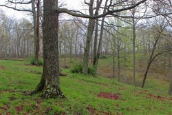 property photo for Serenity Creek Tract 18, 7.51 acres for sale in Laurel County, Kentucky