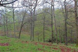 property photo for Serenity Creek Tract 18, 7.51 acres for sale in Laurel County, Kentucky