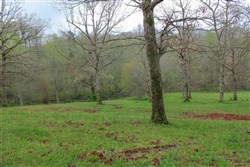 property photo for Serenity Creek Tract 18, 7.51 acres for sale in Laurel County, Kentucky