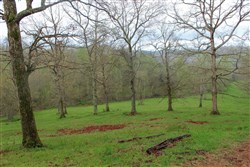 property photo for Serenity Creek Tract 18, 7.51 acres for sale in Laurel County, Kentucky