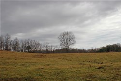 property photo for Serenity Creek Tract 4, 10.31 acres for sale in Laurel County, Kentucky
