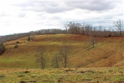 property photo for Serenity Creek Tract 4, 10.31 acres for sale in Laurel County, Kentucky