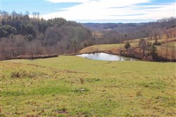 Serenity Creek Tract 5