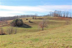 Serenity Creek Tract 5