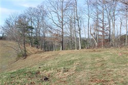 Serenity Creek Tract 5
