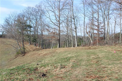 Serenity Creek Tract 5