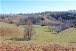 Serenity Creek Tract 5