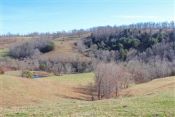 Serenity Creek Tract 5