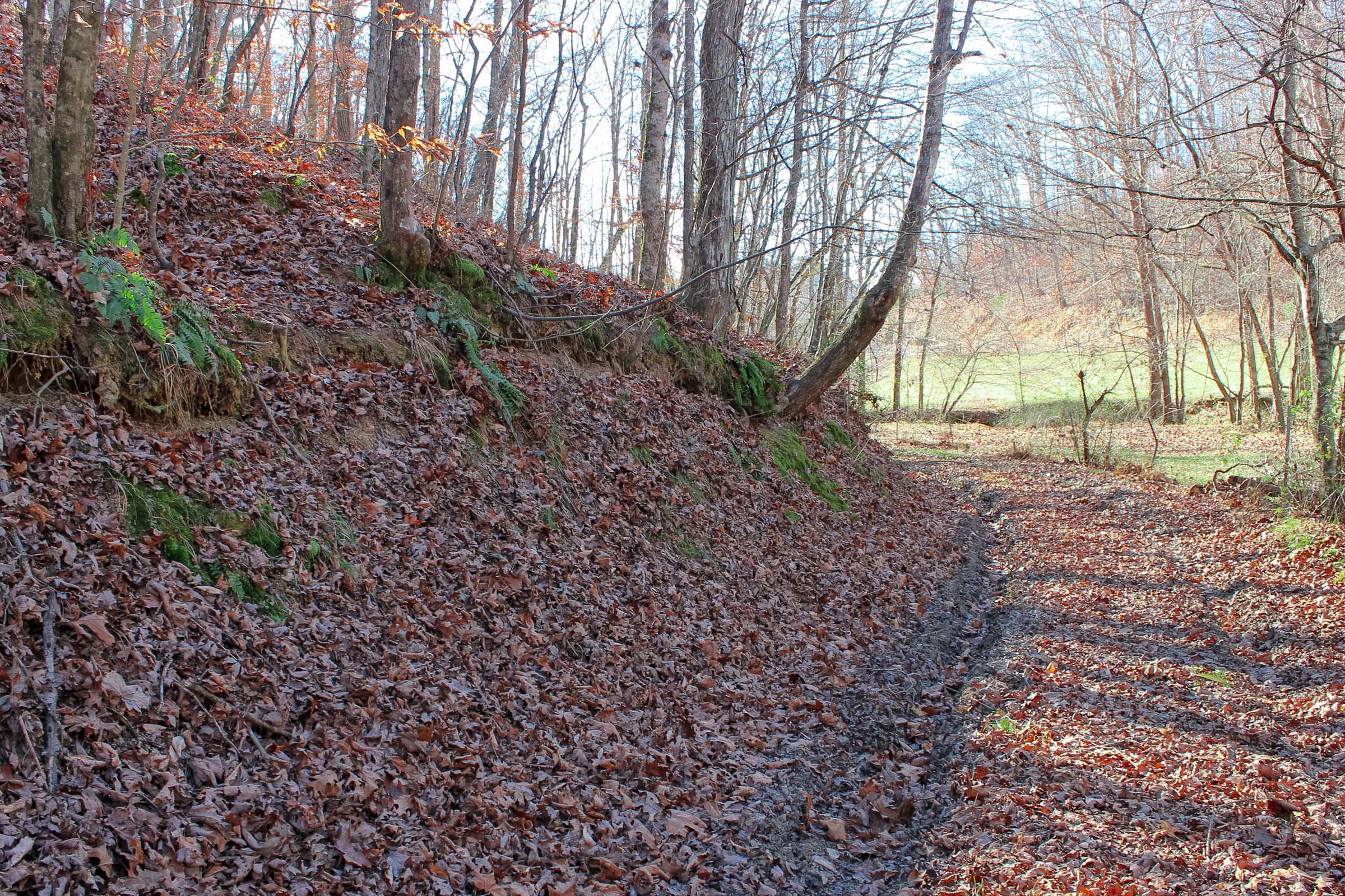 Tract 7 at Serenity Creek in Laurel County, Kentucky