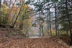 property photo for Autumn Ridge Tract 1, 8.64 acres for sale in Leslie County, Kentucky