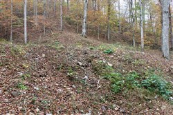 property photo for Autumn Ridge Tract 1, 8.64 acres for sale in Leslie County, Kentucky