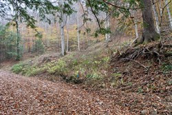 property photo for Autumn Ridge Tract 1, 8.64 acres for sale in Leslie County, Kentucky