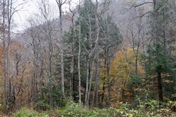 property photo for Autumn Ridge Tract 1, 8.64 acres for sale in Leslie County, Kentucky
