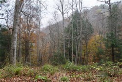 property photo for Autumn Ridge Tract 1, 8.64 acres for sale in Leslie County, Kentucky