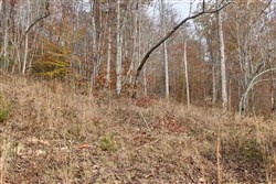 Autumn Ridge Tract 10