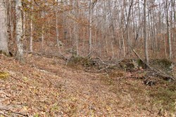 Autumn Ridge Tract 10