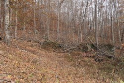 Autumn Ridge Tract 10