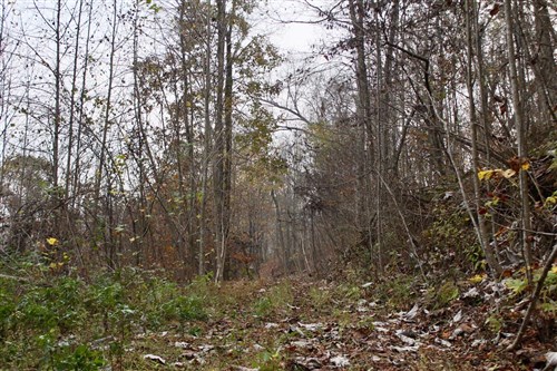 Autumn Ridge Tract 12