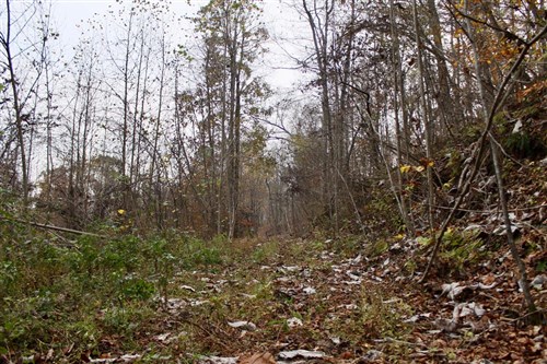 Autumn Ridge Tract 12