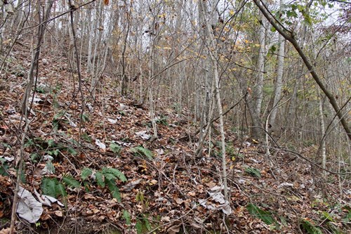 Autumn Ridge Tract 12