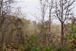 Autumn Ridge Tract 12