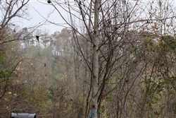Autumn Ridge Tract 12