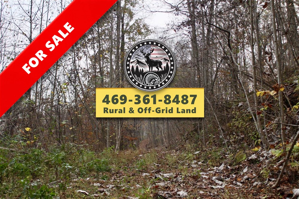 Autumn Ridge Tract 12 - Primary