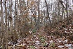 Autumn Ridge Tract 13
