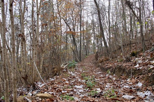 Autumn Ridge Tract 13