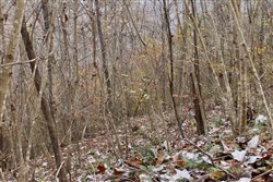 Autumn Ridge Tract 13