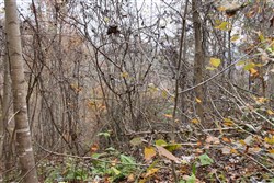 Autumn Ridge Tract 13