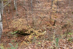 Autumn Ridge Tract 14