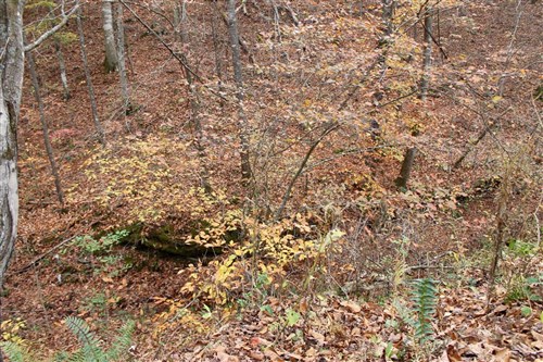 Autumn Ridge Tract 14