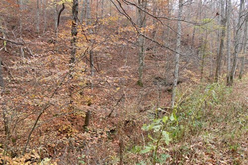 Autumn Ridge Tract 14