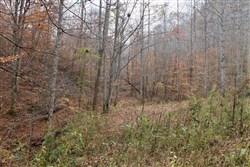 Autumn Ridge Tract 14
