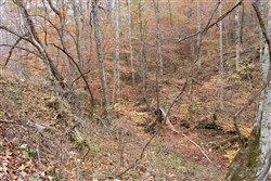 Autumn Ridge Tract 14