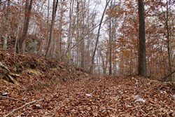 property photo for Autumn Ridge Tract 15, 16.69 acres for sale in Leslie County, Kentucky