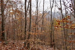 property photo for Autumn Ridge Tract 15, 16.69 acres for sale in Leslie County, Kentucky