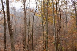 property photo for Autumn Ridge Tract 15, 16.69 acres for sale in Leslie County, Kentucky