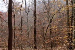 property photo for Autumn Ridge Tract 15, 16.69 acres for sale in Leslie County, Kentucky