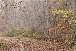 property photo for Autumn Ridge Tract 16, 10.9 acres for sale in Leslie County, Kentucky