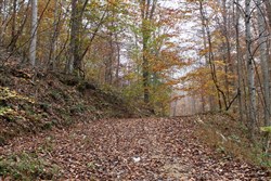 property photo for Autumn Ridge Tract 16, 10.9 acres for sale in Leslie County, Kentucky