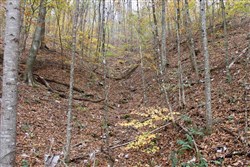 property photo for Autumn Ridge Tract 16, 10.9 acres for sale in Leslie County, Kentucky