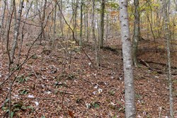 property photo for Autumn Ridge Tract 16, 10.9 acres for sale in Leslie County, Kentucky