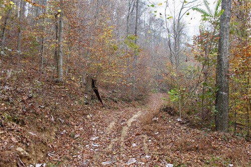Autumn Ridge Tract 17