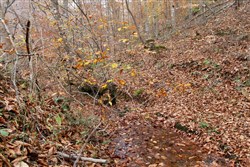 Autumn Ridge Tract 17