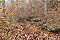 Autumn Ridge Tract 17