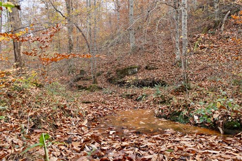 Autumn Ridge Tract 17