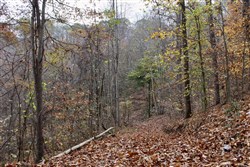 Autumn Ridge Tract 18